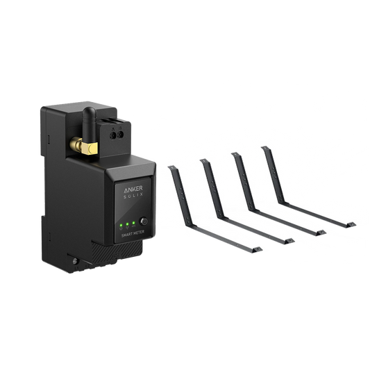 Anker SOLIX compteur intelligent + Support pour toit plat et jardin